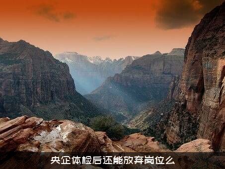 央企体检后还能放弃岗位么？