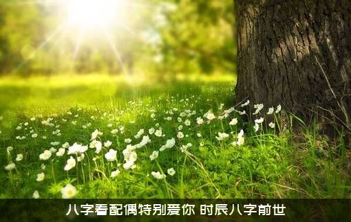 八字看配偶特别爱你（时辰八字前世）
