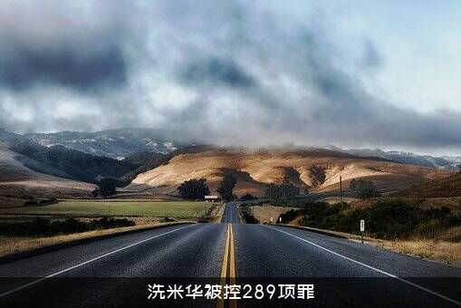 洗米华被控289项罪