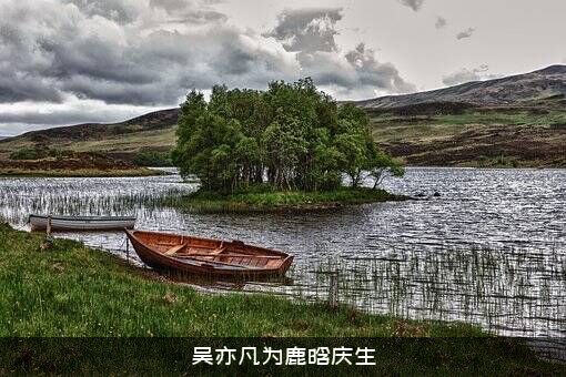 吴亦凡为鹿晗庆生