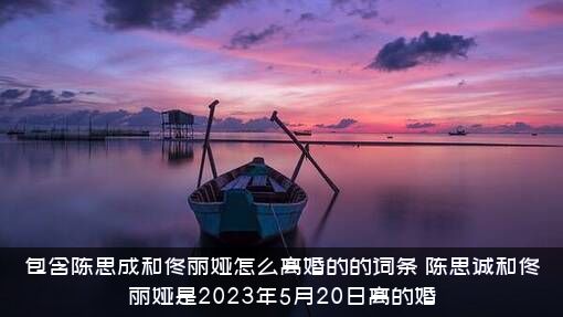 包含陈思成和佟丽娅怎么离婚的的词条？陈思诚和佟丽娅是2023年5月20日离的婚