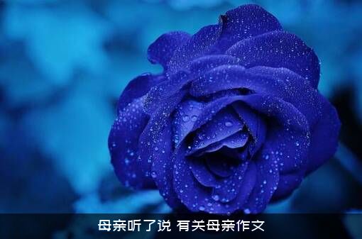 母亲听了说（有关母亲作文）