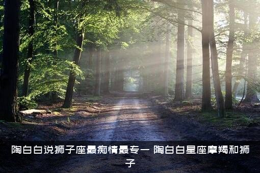 陶白白说狮子座最痴情最专一，陶白白星座摩羯和狮子