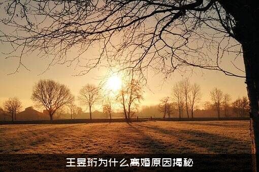 王昱珩为什么离婚原因揭秘？