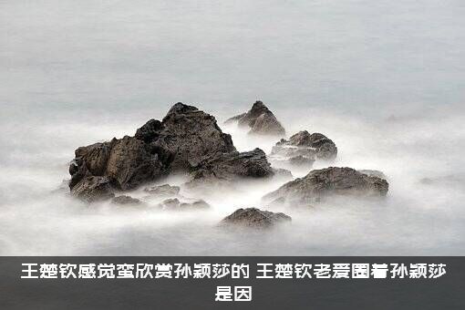 王楚钦感觉蛮欣赏孙颖莎的，王楚钦老爱圈着孙颖莎是因