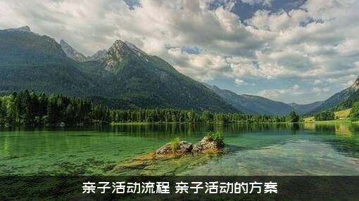 亲子活动流程（亲子活动的方案）