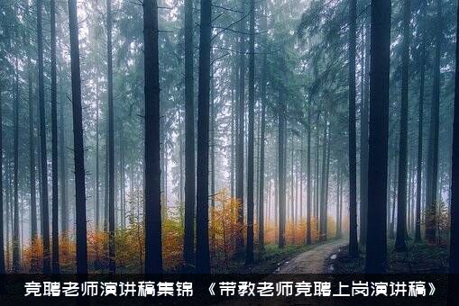 竞聘老师演讲稿集锦（《带教老师竞聘上岗演讲稿》）