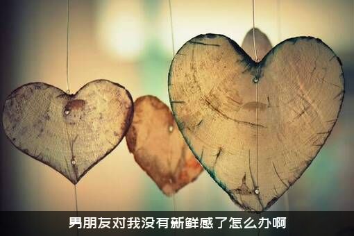 男朋友对我没有新鲜感了怎么办啊？