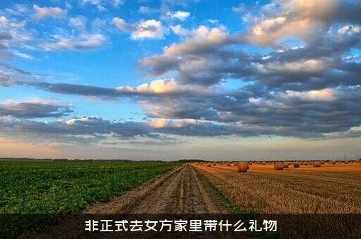非正式去女方家里带什么礼物？