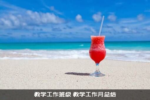 教学工作班级（教学工作月总结）