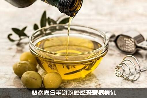 悲欢离合手游攻略感受爱恨情仇