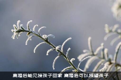 离婚后能见接孩子回家，离婚后可以探望孩子？