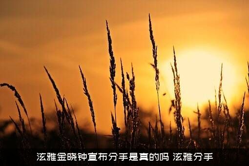泫雅金晓钟宣布分手是真的吗（泫雅分手）