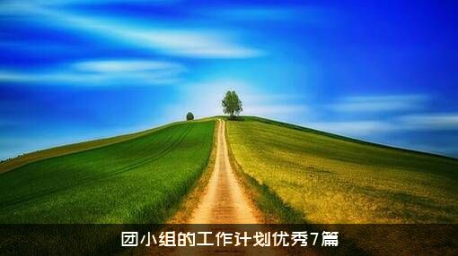 团小组的工作计划优秀7篇
