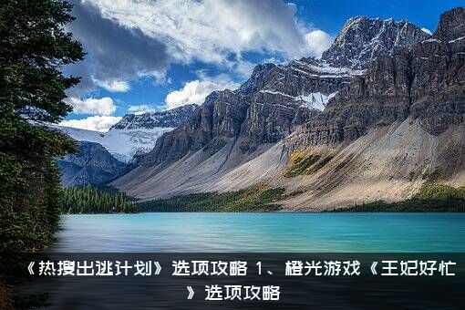 《热搜出逃计划》选项攻略（1、橙光游戏《王妃好忙》选项攻略）