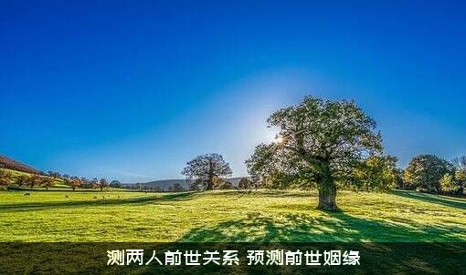 测两人前世关系（预测前世姻缘）