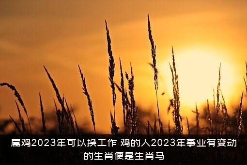 属鸡2023年可以换工作？鸡的人2023年事业有变动的生肖便是生肖马
