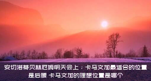 安切洛蒂贝林厄姆明天会上；卡马文加最适合的位置是后腰，卡马文加的理想位置是哪个？