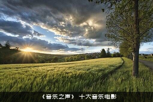 《音乐之声》（十大音乐电影）