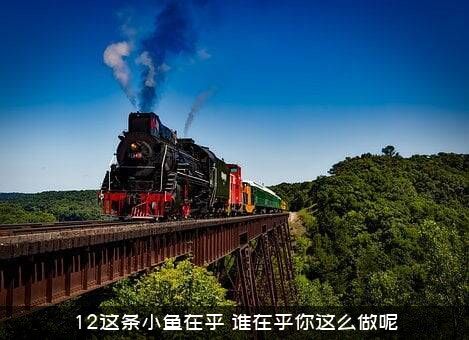 12这条小鱼在乎，谁在乎你这么做呢？