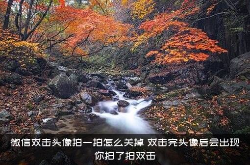 微信双击头像拍一拍怎么关掉？双击完头像后会出现你拍了拍双击