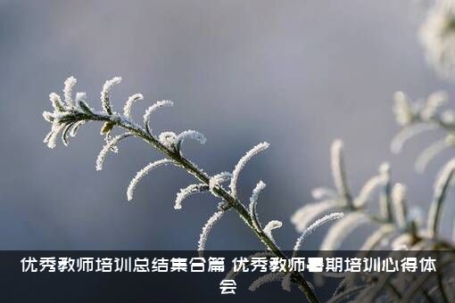 优秀教师培训总结集合篇（优秀教师暑期培训心得体会）
