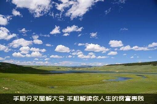 手相分叉图解大全（手相解读你人生的贫富贵贱）