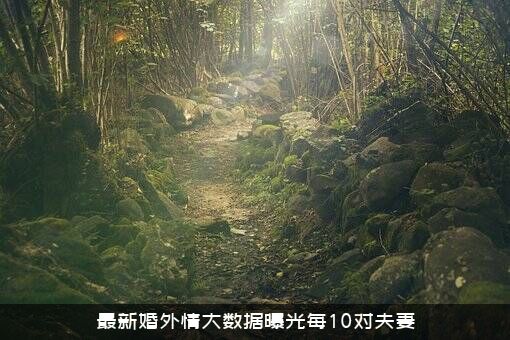 最新婚外情大数据曝光每10对夫妻