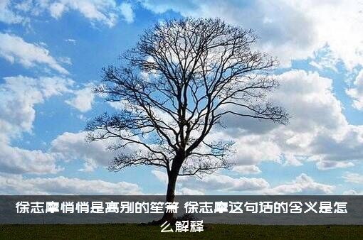 徐志摩悄悄是离别的笙箫，徐志摩这句话的含义是怎么解释？