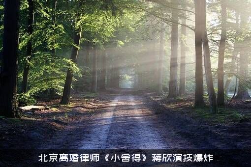 北京离婚律师《小舍得》蒋欣演技爆炸