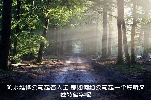 防水维修公司起名大全，那如何给公司起一个好听又独特名字呢?？
