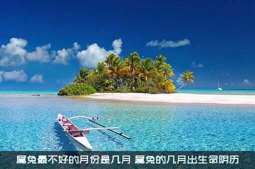 属兔最不好的月份是几月？属兔的几月出生命阴历？