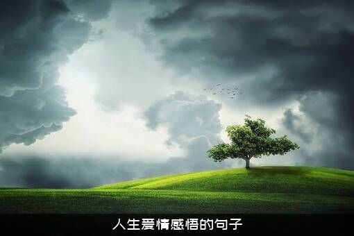 人生爱情感悟的句子