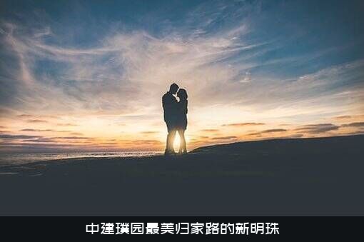 中建璞园最美归家路的新明珠