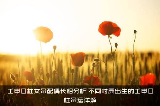 壬申日柱女命配偶长相分析，不同时辰出生的壬申日柱命运详解