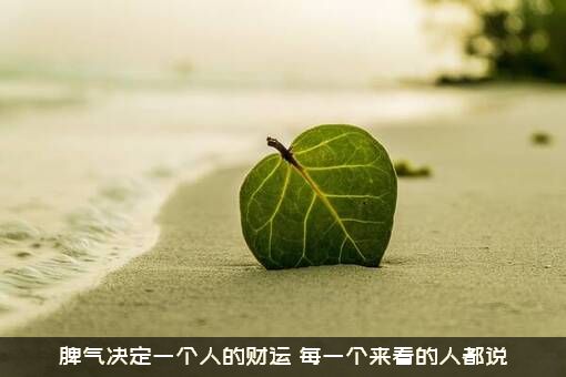 脾气决定一个人的财运（每一个来看的人都说）