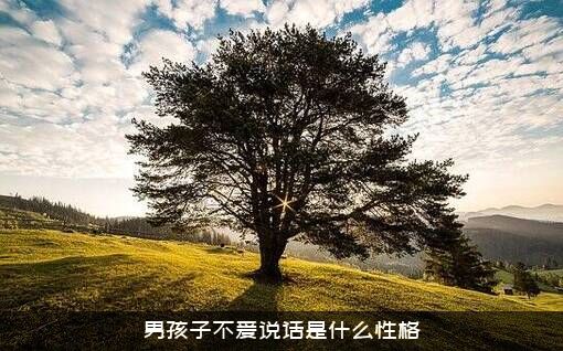 男孩子不爱说话是什么性格？