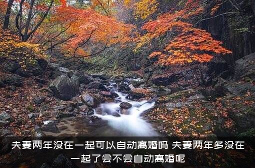 夫妻两年没在一起可以自动离婚吗？夫妻两年多没在一起了会不会自动离婚呢？