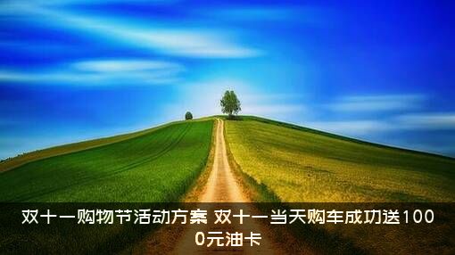 双十一购物节活动方案（双十一当天购车成功送1000元油卡）