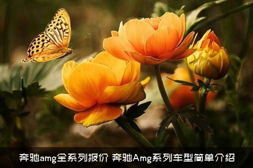 奔驰amg全系列报价（奔驰Amg系列车型简单介绍）