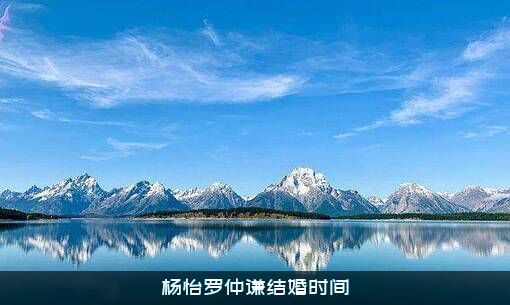 杨怡罗仲谦结婚时间