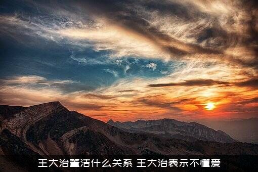 王大治董洁什么关系？王大治表示不懂爱
