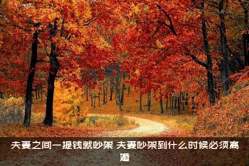 夫妻之间一提钱就吵架，夫妻吵架到什么时候必须离婚？