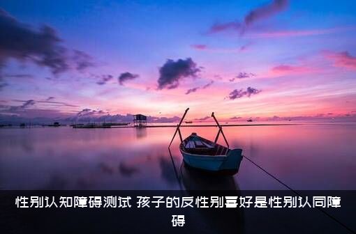 性别认知障碍测试（孩子的反性别喜好是性别认同障碍）