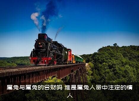 属兔与属兔的合财吗？谁是属兔人命中注定的情人？