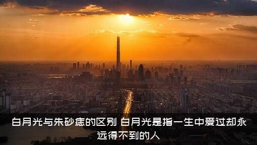 白月光与朱砂痣的区别（白月光是指一生中爱过却永远得不到的人）