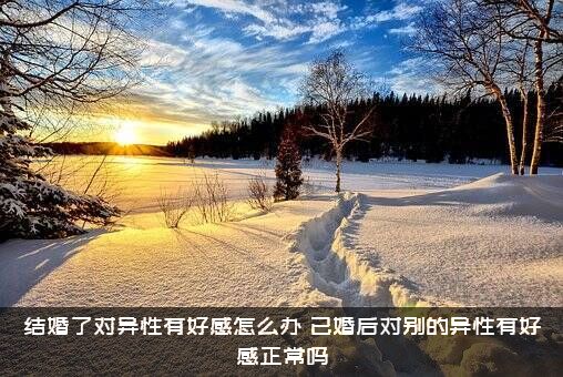 结婚了对异性有好感怎么办？已婚后对别的异性有好感正常吗？