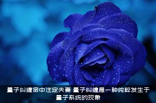 量子纠缠命中注定夫妻（量子纠缠是一种纯粹发生于量子系统的现象）