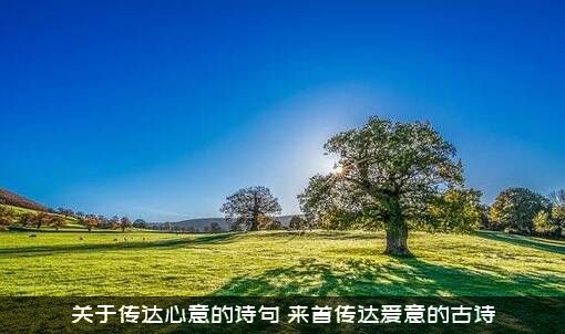关于传达心意的诗句（来首传达爱意的古诗）