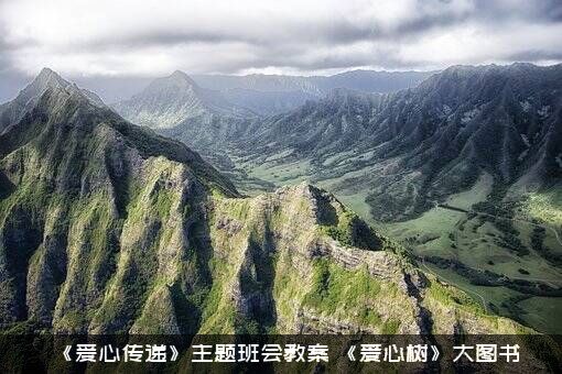 《爱心传递》主题班会教案（《爱心树》大图书）